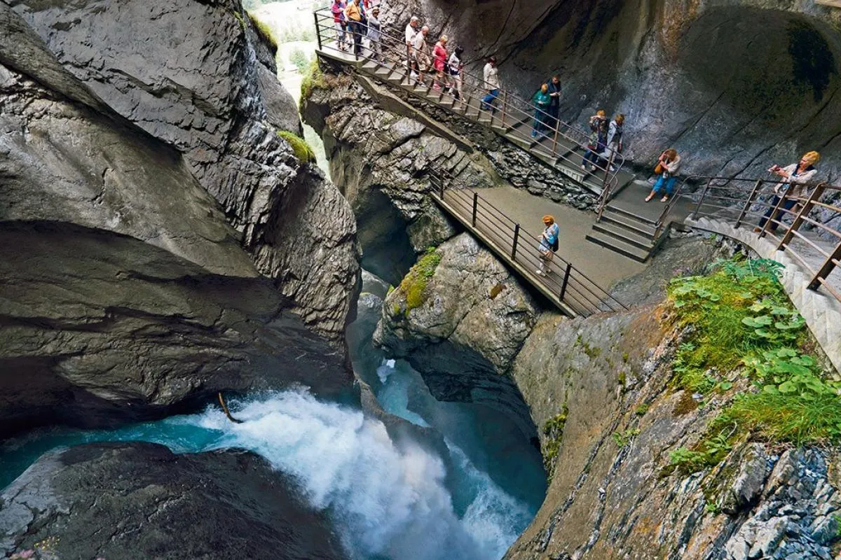 Experience Switzerland Through the Seasons: A Guide for Every Traveller