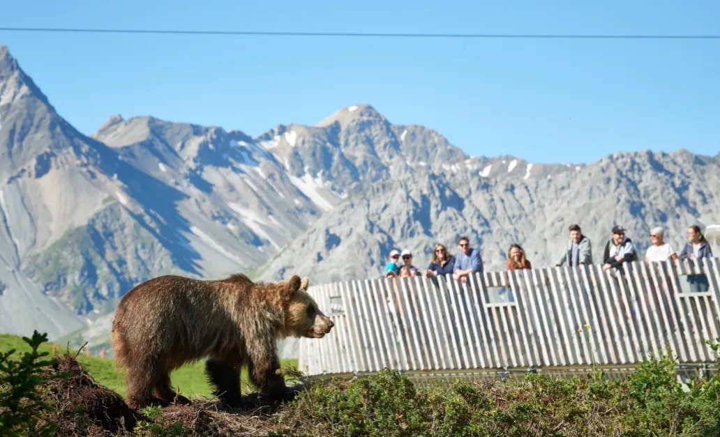 Experience Switzerland Through the Seasons: A Guide for Every Traveller
