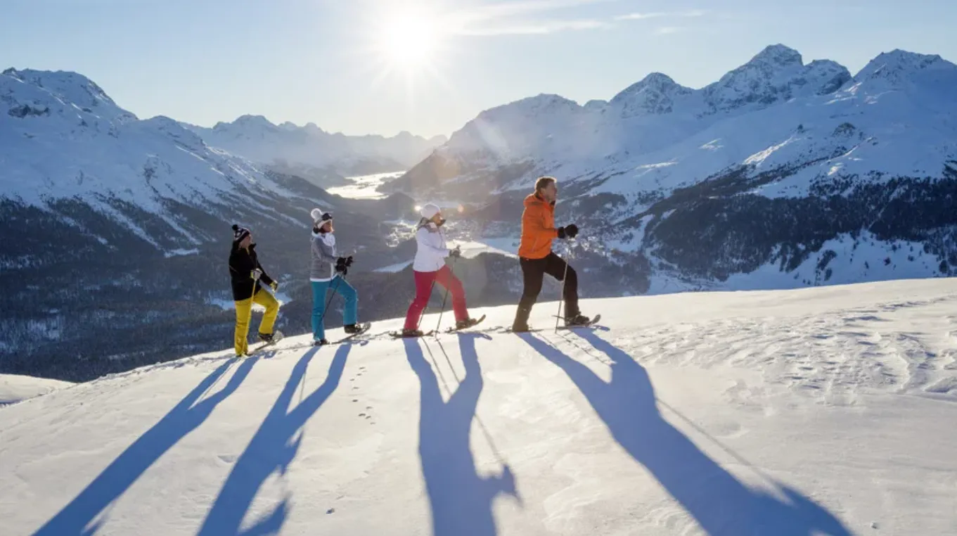 Experience Switzerland Through the Seasons: A Guide for Every Traveller
