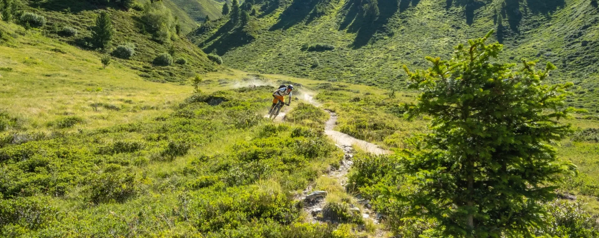 https://www.instagram.com/p/DFis1r3OLbr/