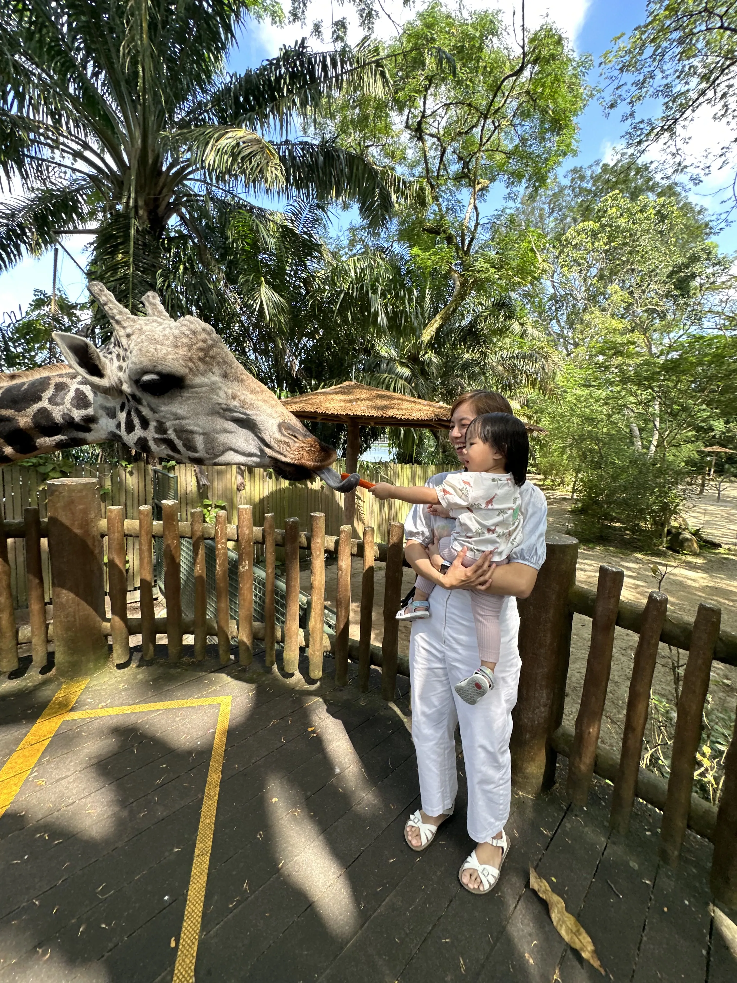 11 Peternakan Ramah Anak di Singapura Tempat Kamu Bisa Tangkap Ikan, Kasih Makan Kambing dan Naik Kuda