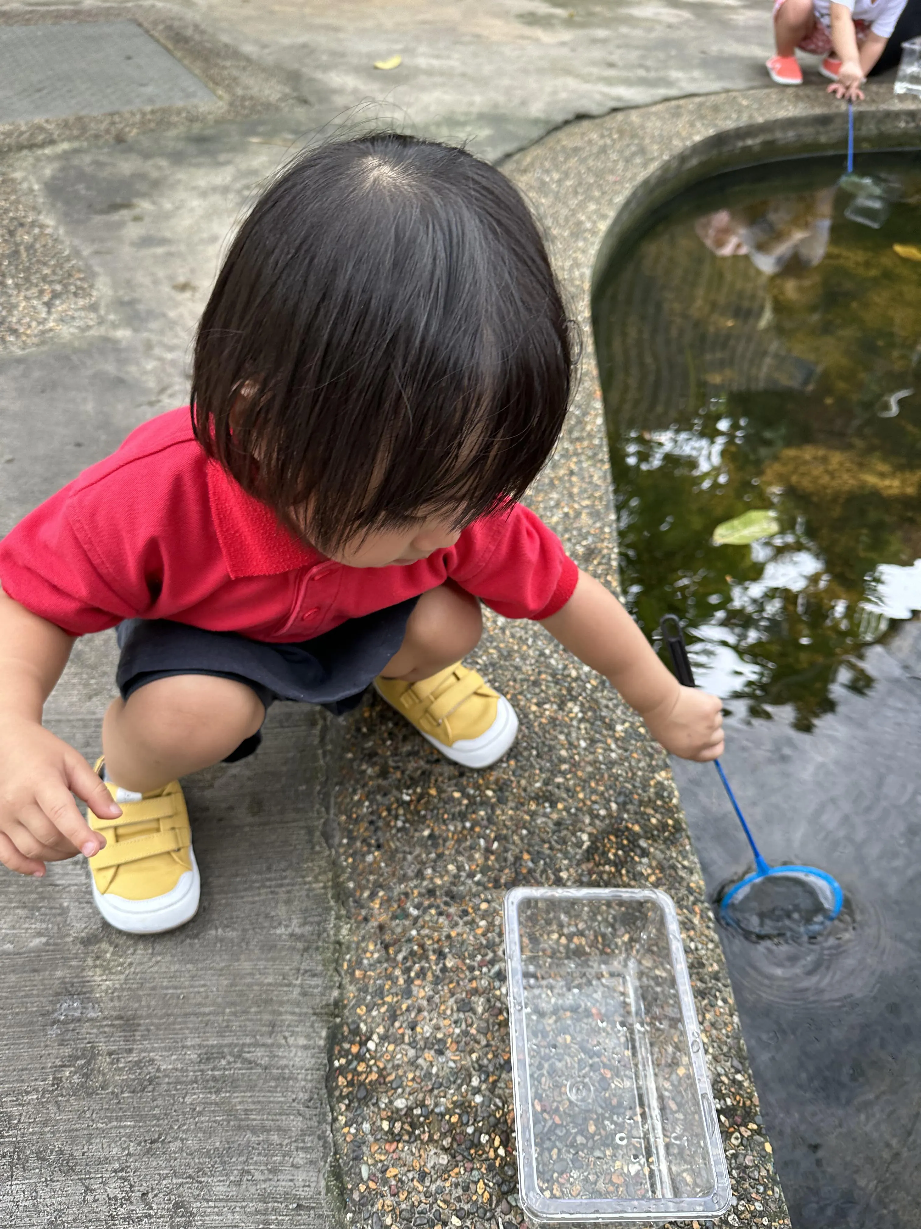 11 Peternakan Ramah Anak di Singapura Tempat Kamu Bisa Tangkap Ikan, Kasih Makan Kambing dan Naik Kuda