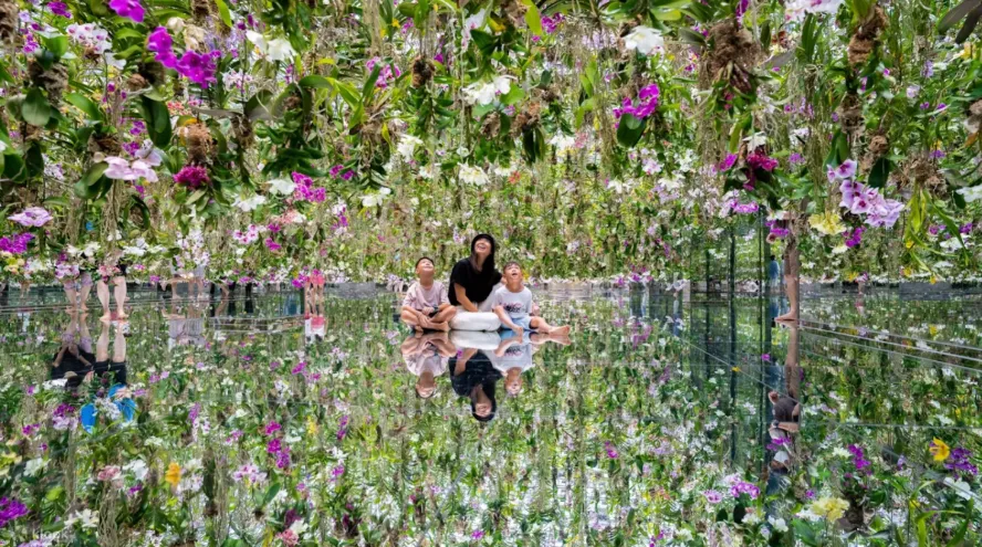 10 New Attractions To Visit In Tokyo (With Halal Food Nearby!)