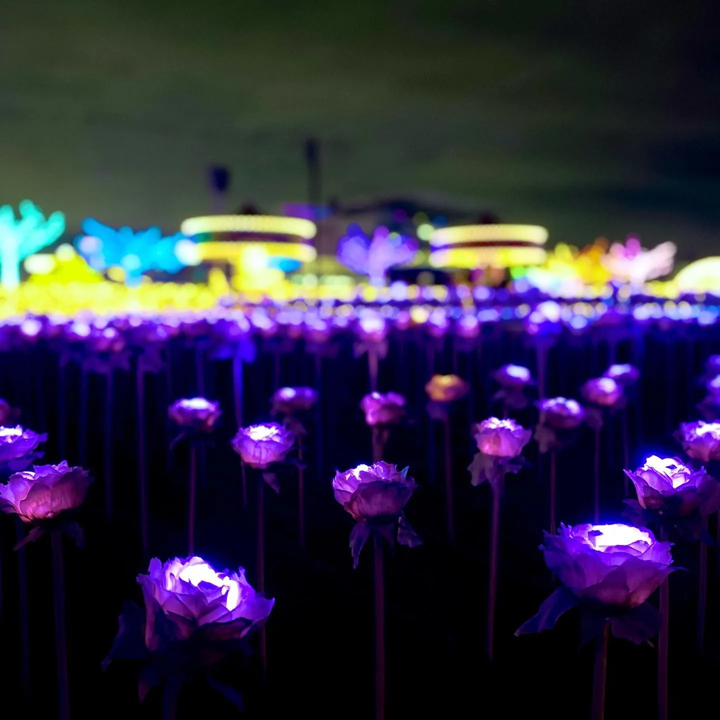 10 New Attractions To Visit In Tokyo (With Halal Food Nearby!)
