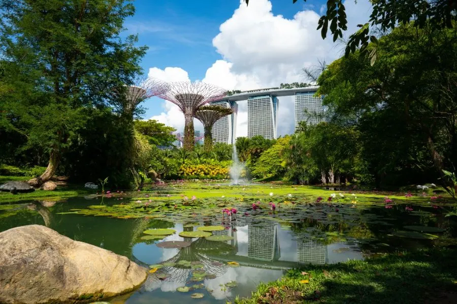 5 Tips untuk Liburan Keluarga yang Menyenangkan di Gardens By The Bay