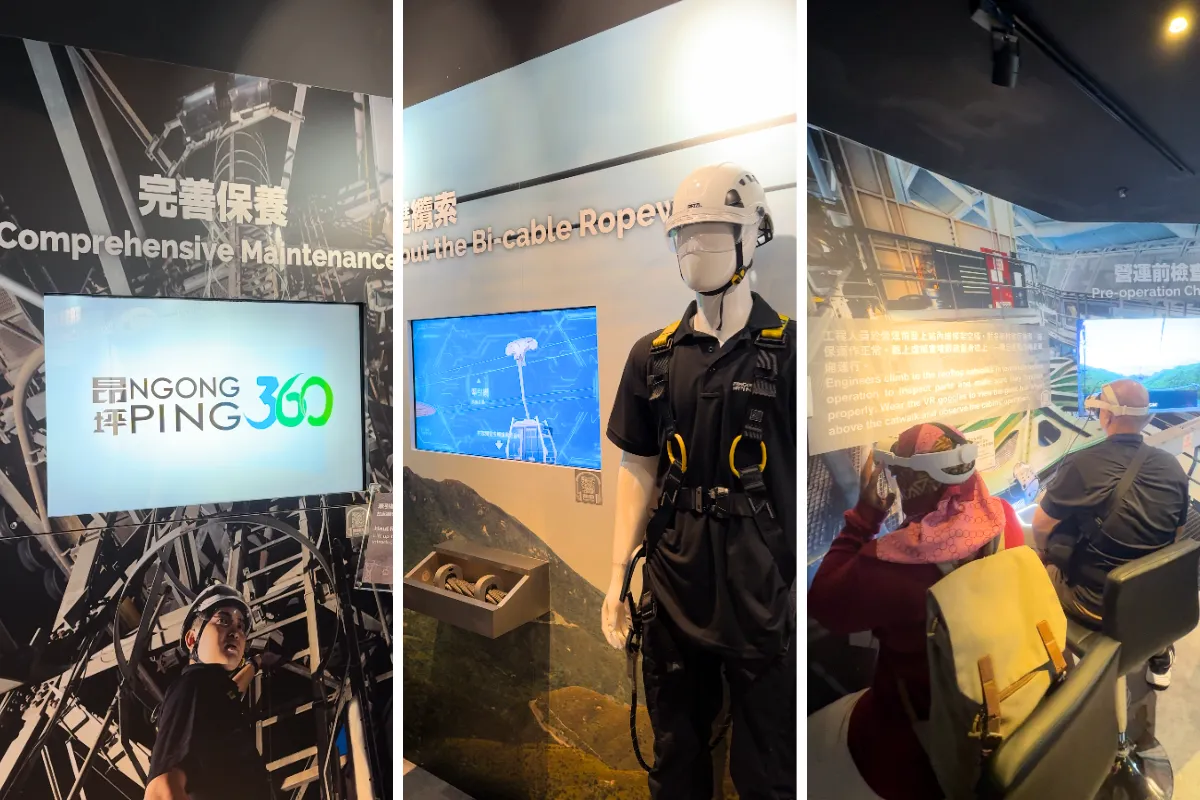 Exploring Hong Kong: The Only 5D4N Muslim-Friendly Itinerary You Need