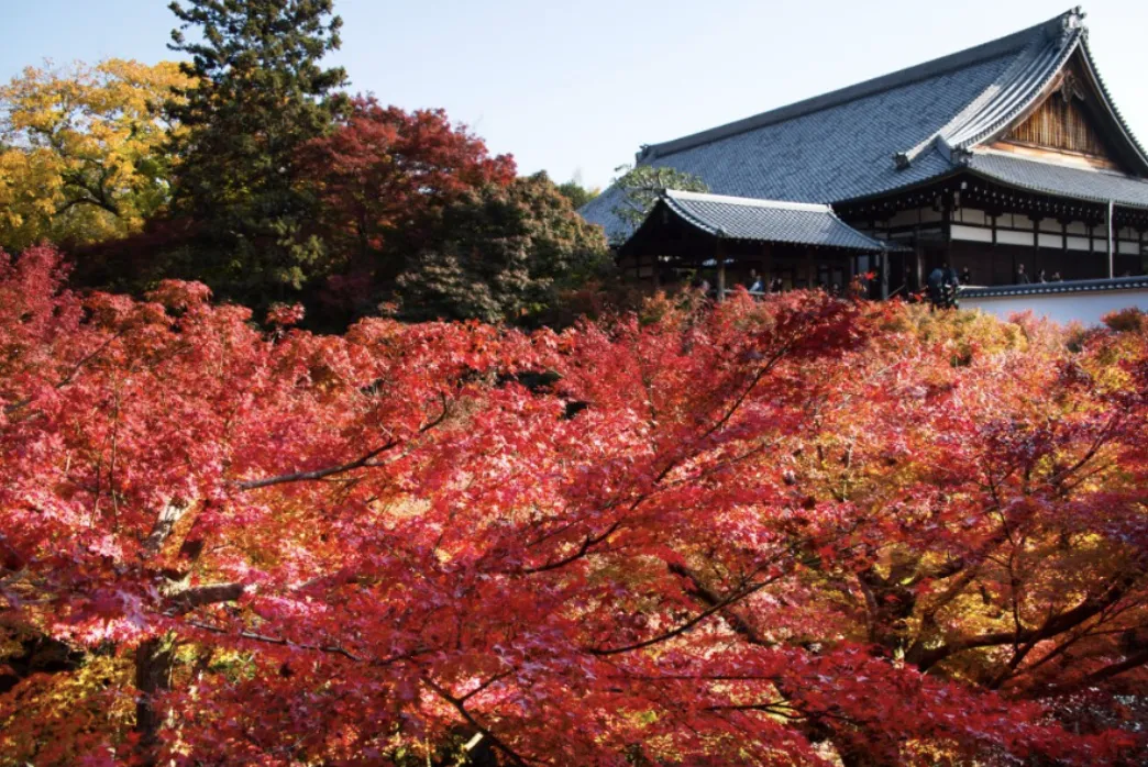 Tokyo-Osaka-Kyoto Itinerary