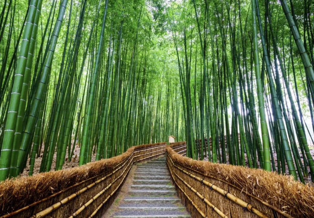 Tokyo-Osaka-Kyoto Itinerary
