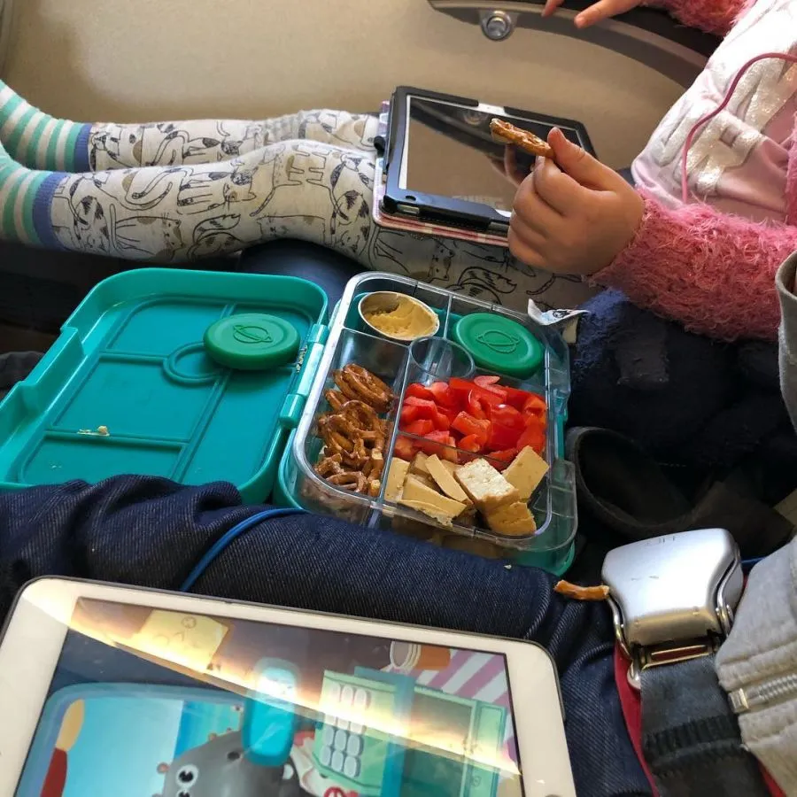 Tips For Flying With Young Children