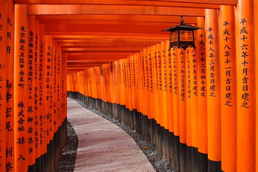 Experience Kyoto Like A Local
