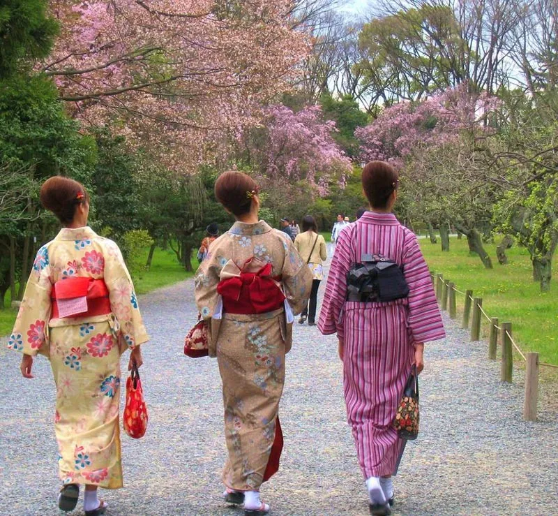 Experience Kyoto Like A Local