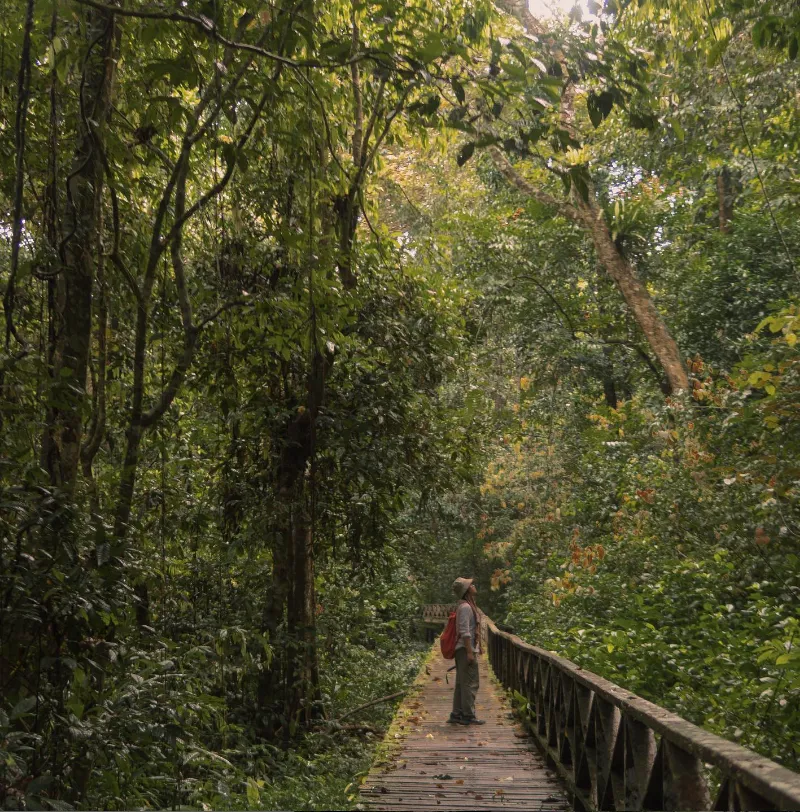 Niah National Park & Niah Museum