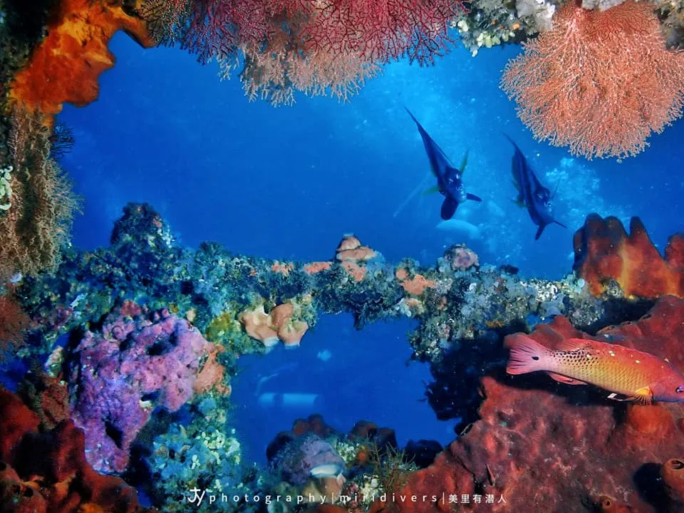 Miri-Sibuti Coral Reef National Park
