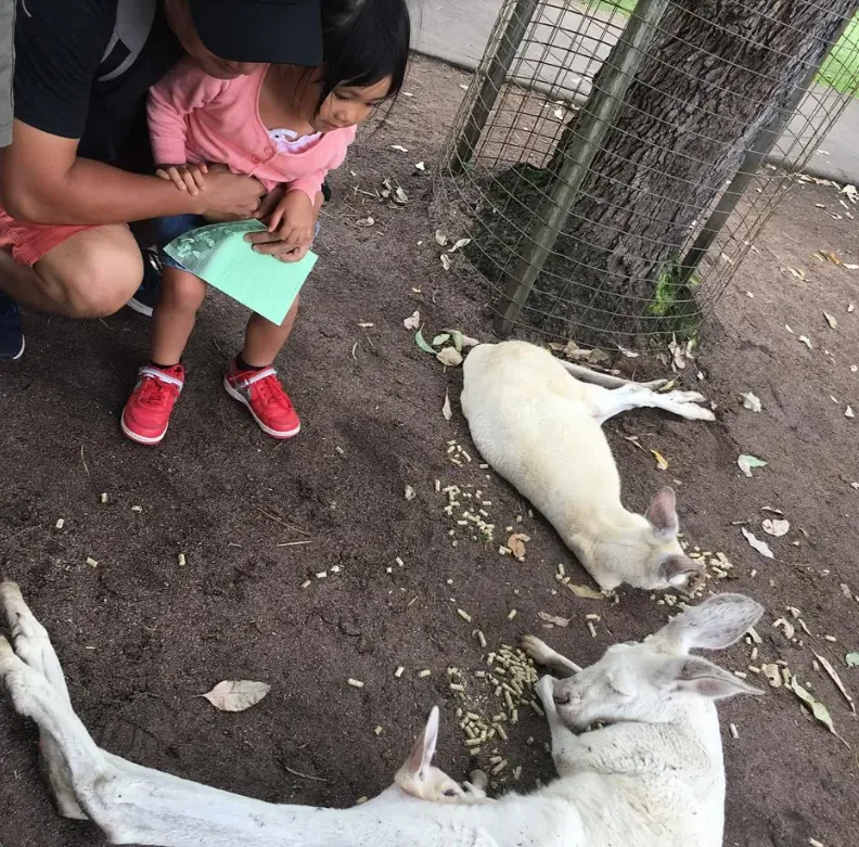 Caversham Wildlife Park