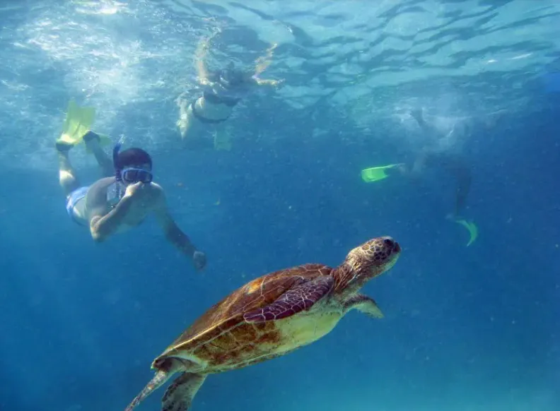 Ningaloo Reef