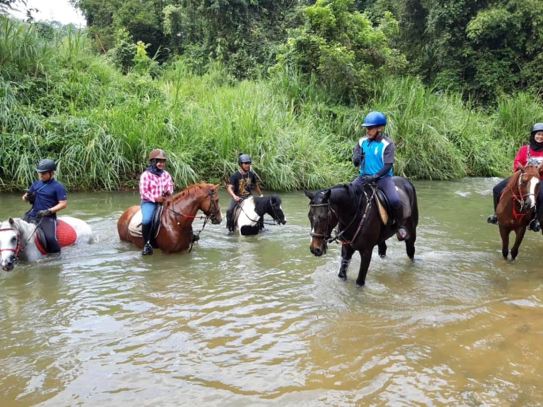 Horse-riding