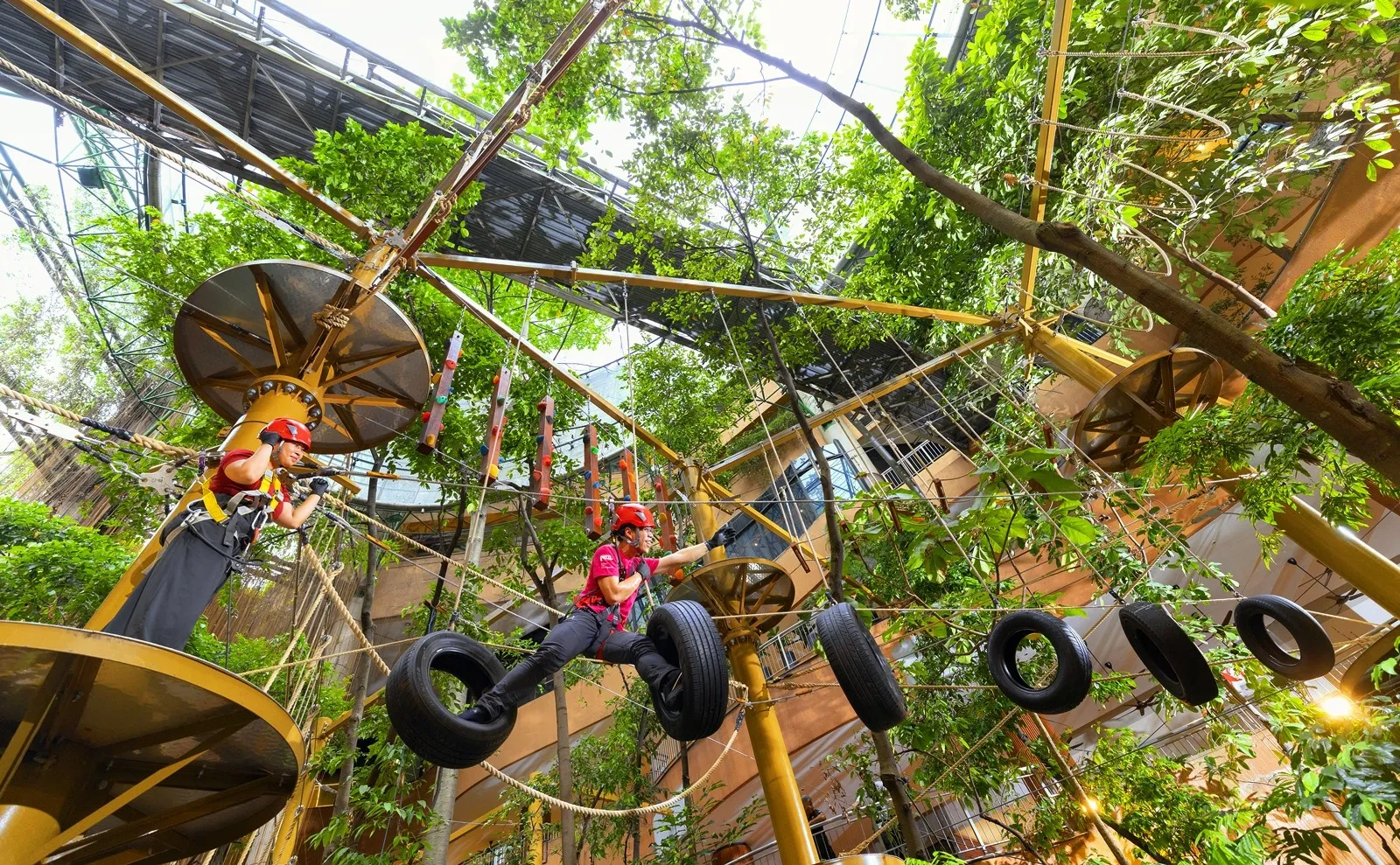 Treetop Adventure