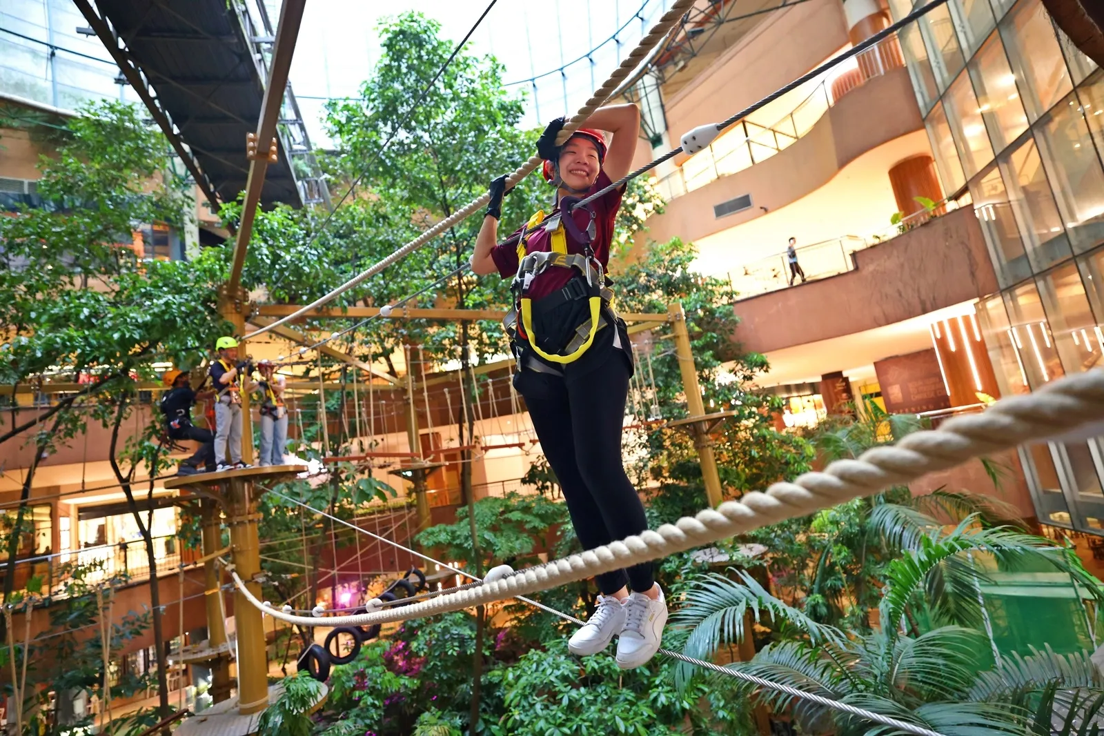 Treetop Adventure