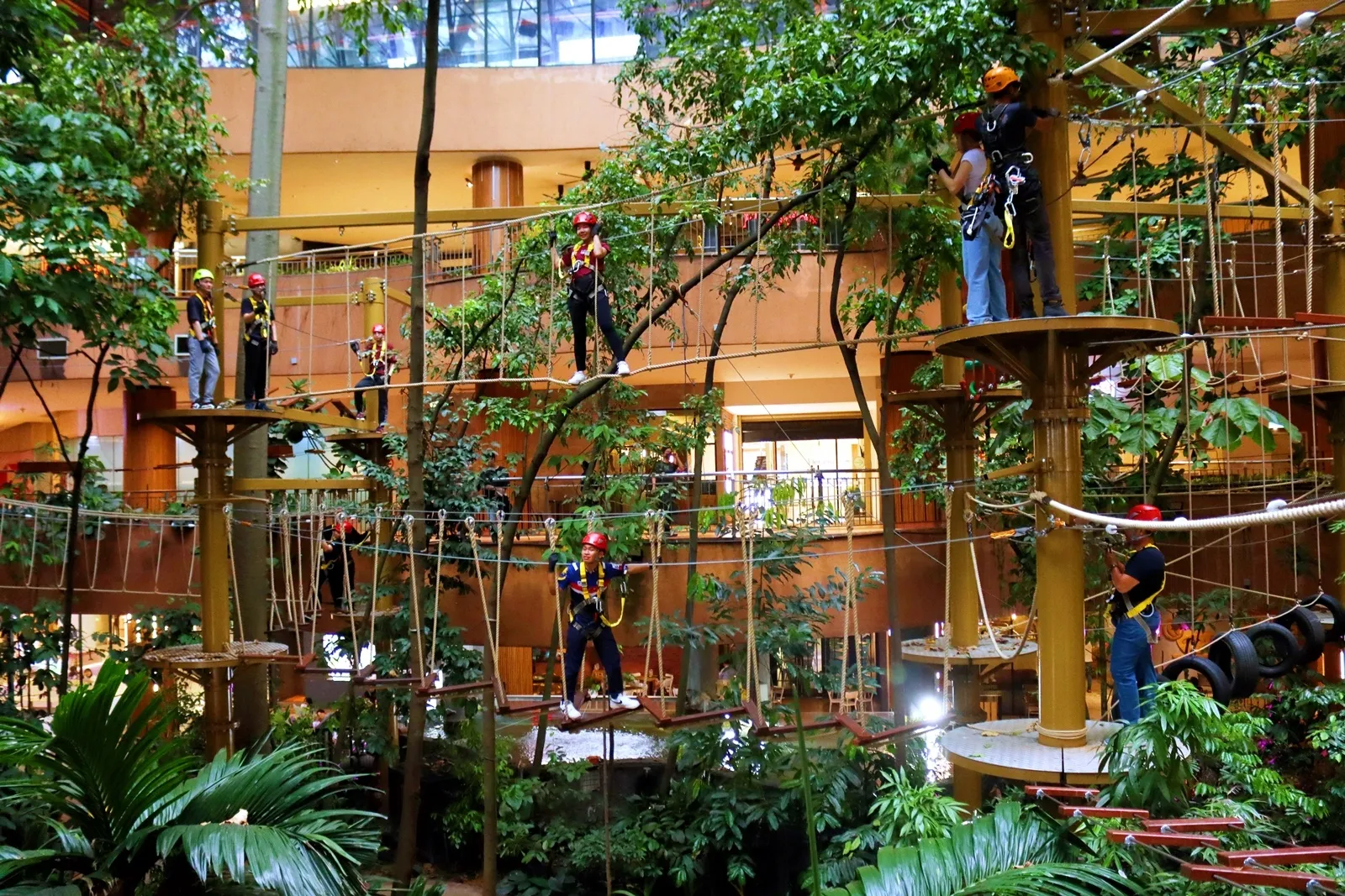 Treetop Adventure