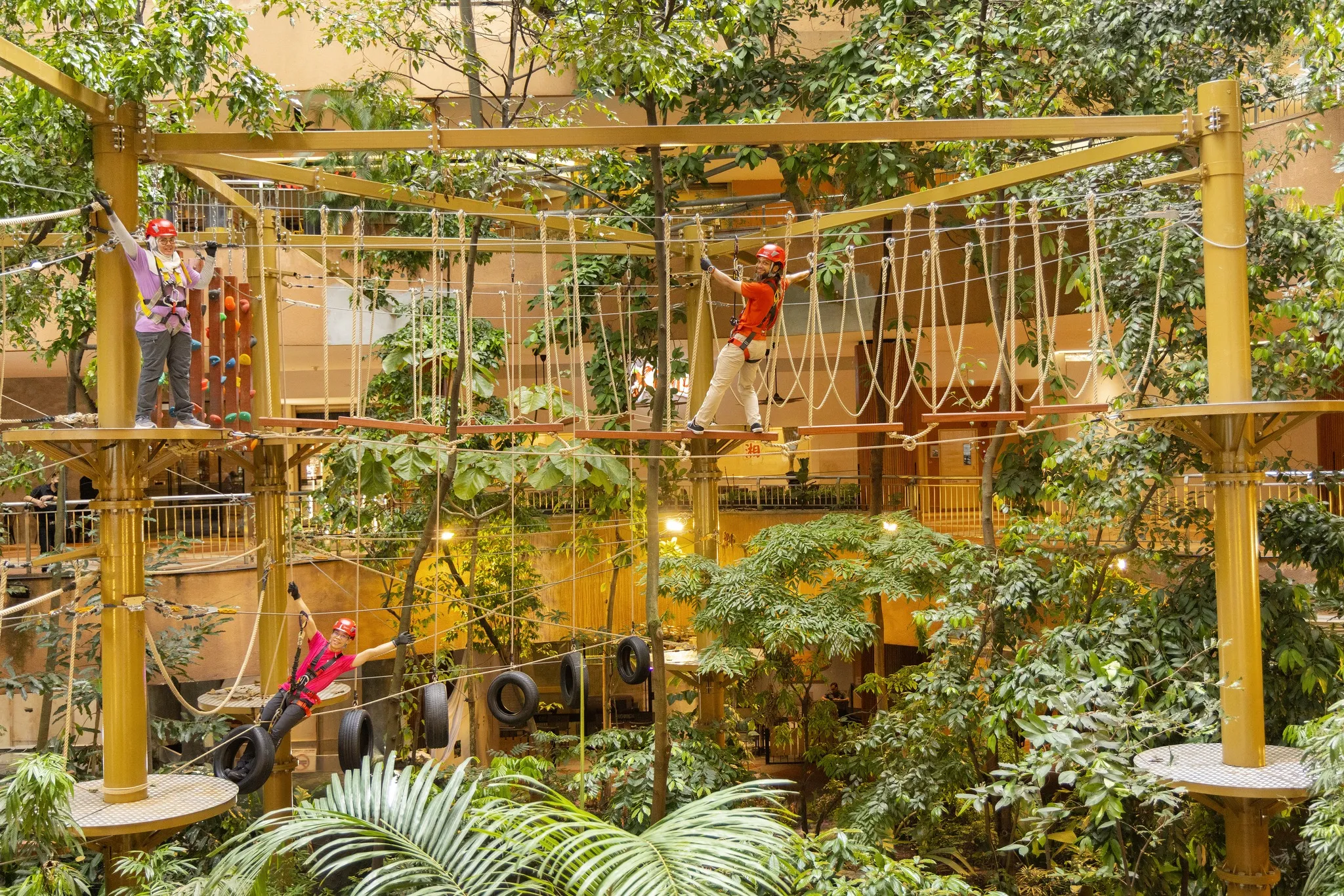 Treetop Adventure