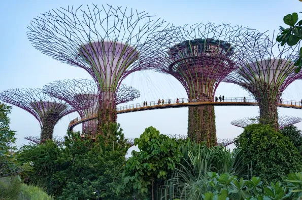 Gardens By The Bay