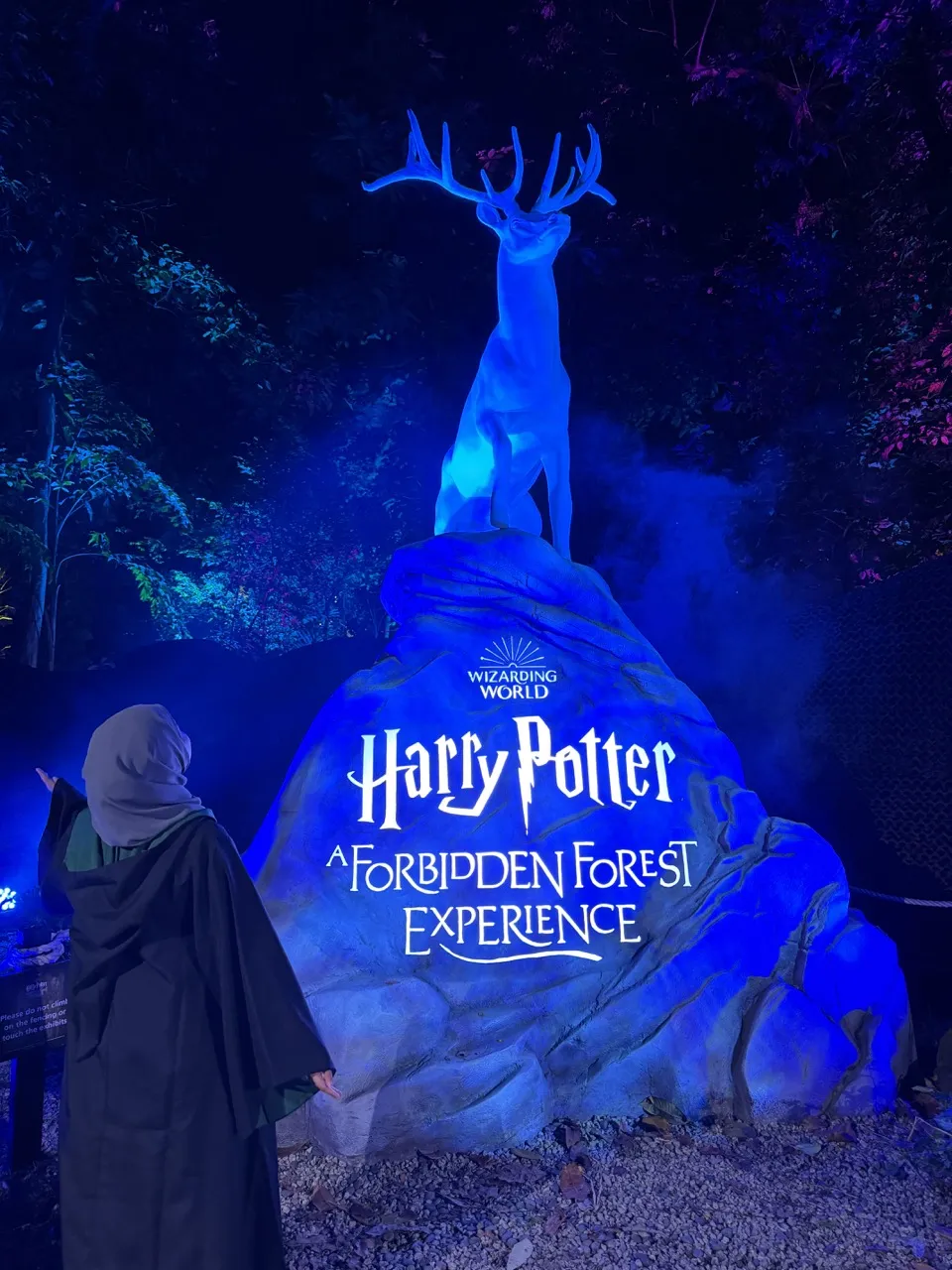 Harry Potter's A Forbidden Forest Experience