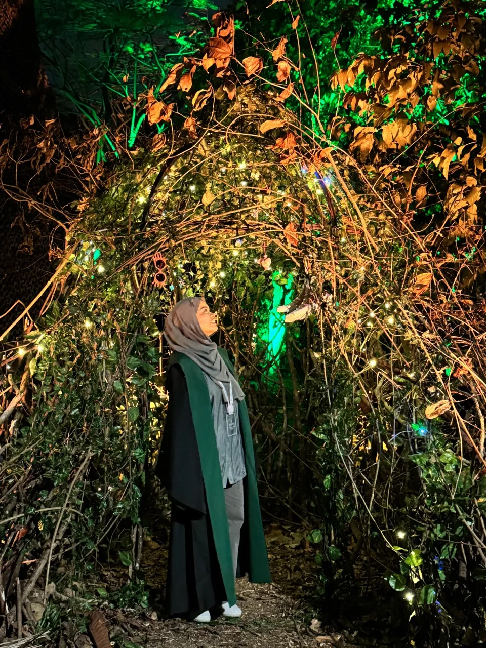 Harry Potter: A Forbidden Forest Experience