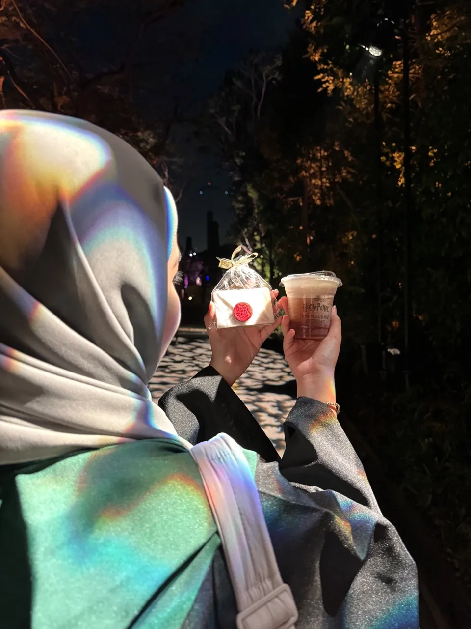 Harry Potter's A Forbidden Forest Experience