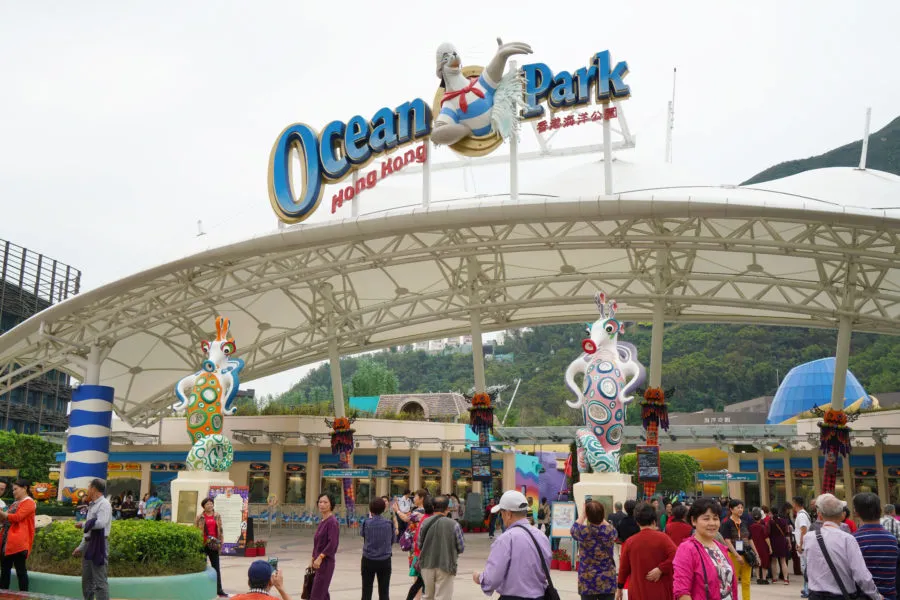 Essential Tips For An Epic Time At Ocean Park, Hong Kong