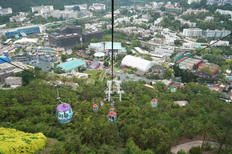 Essential Tips For An Epic Time At Ocean Park, Hong Kong