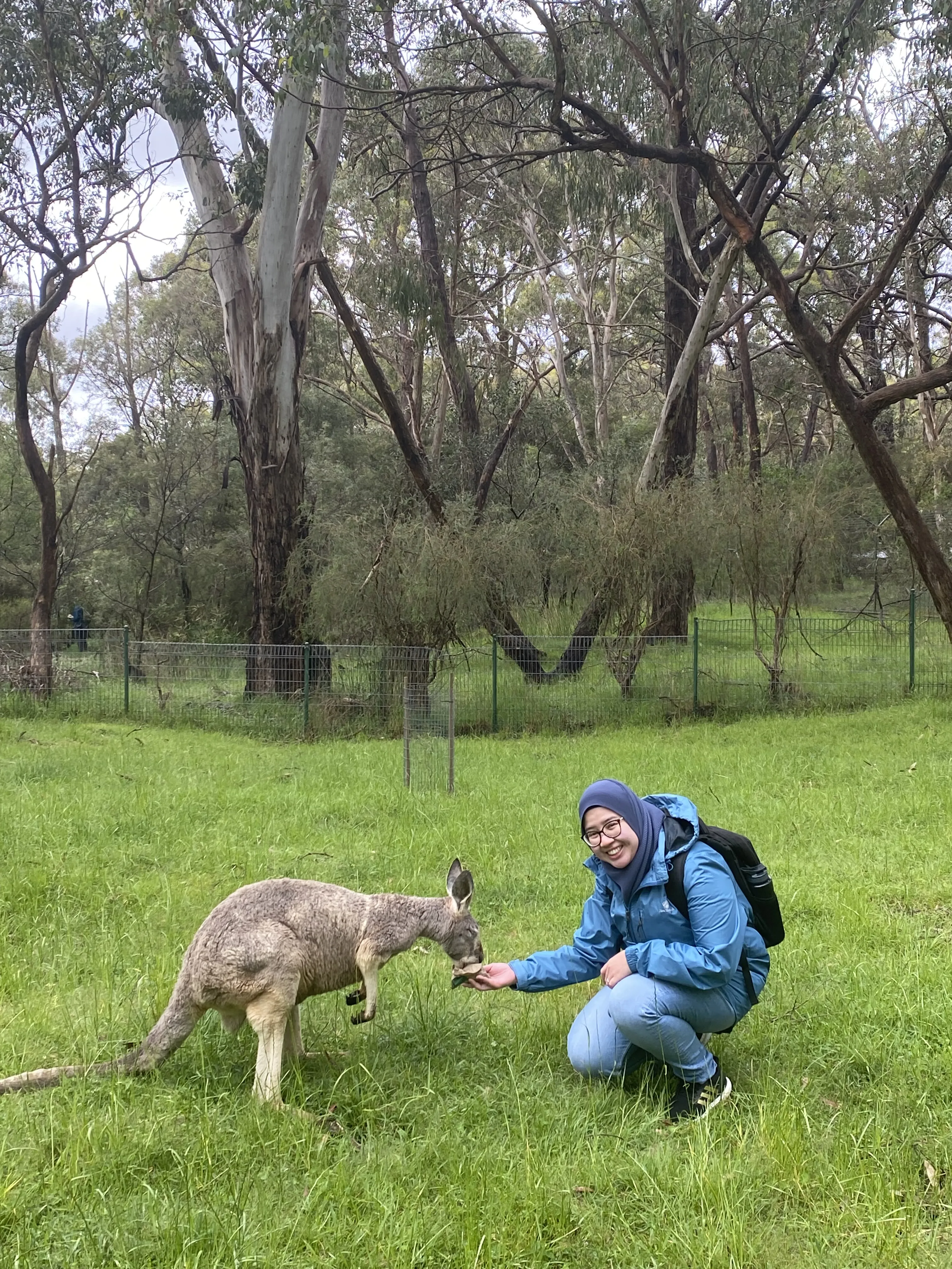 How To Successfully Apply For Australia Visitor Visa: A Personal Experience