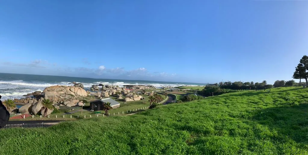 Chapman's Peak Drive