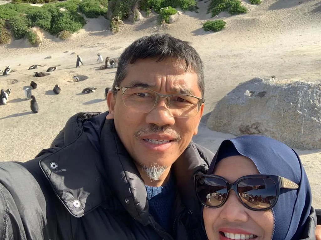 Boulder's Beach Penguins
