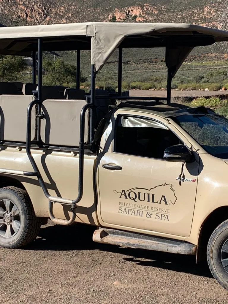 Safari Jeep