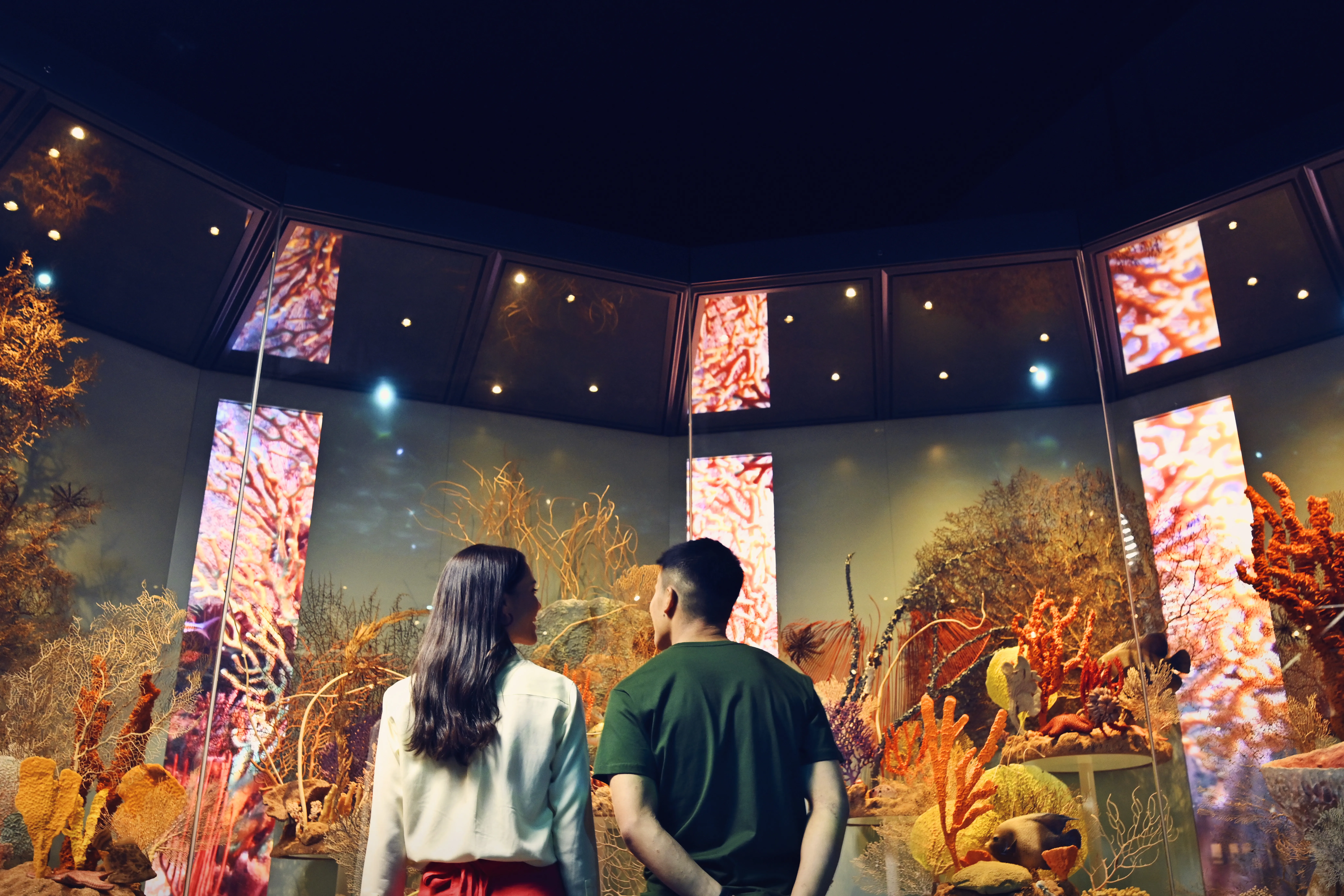 WA Museum Boola Bardip