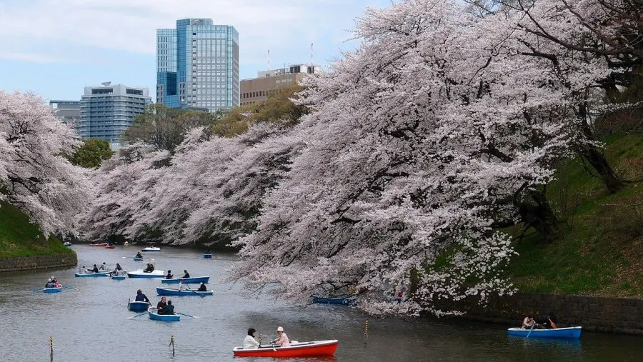 Chidorigafuchi