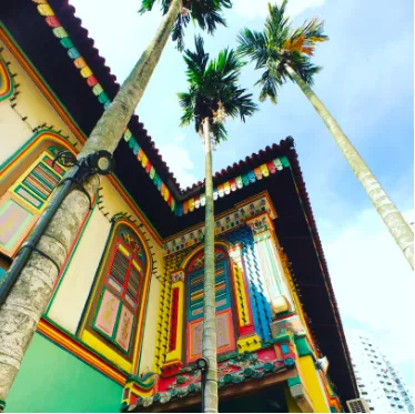 Hal yang Harus Kamu Lihat, Lakukan, dan Santap di Kampong Gelam & Little India yang Terkenal di Singapura