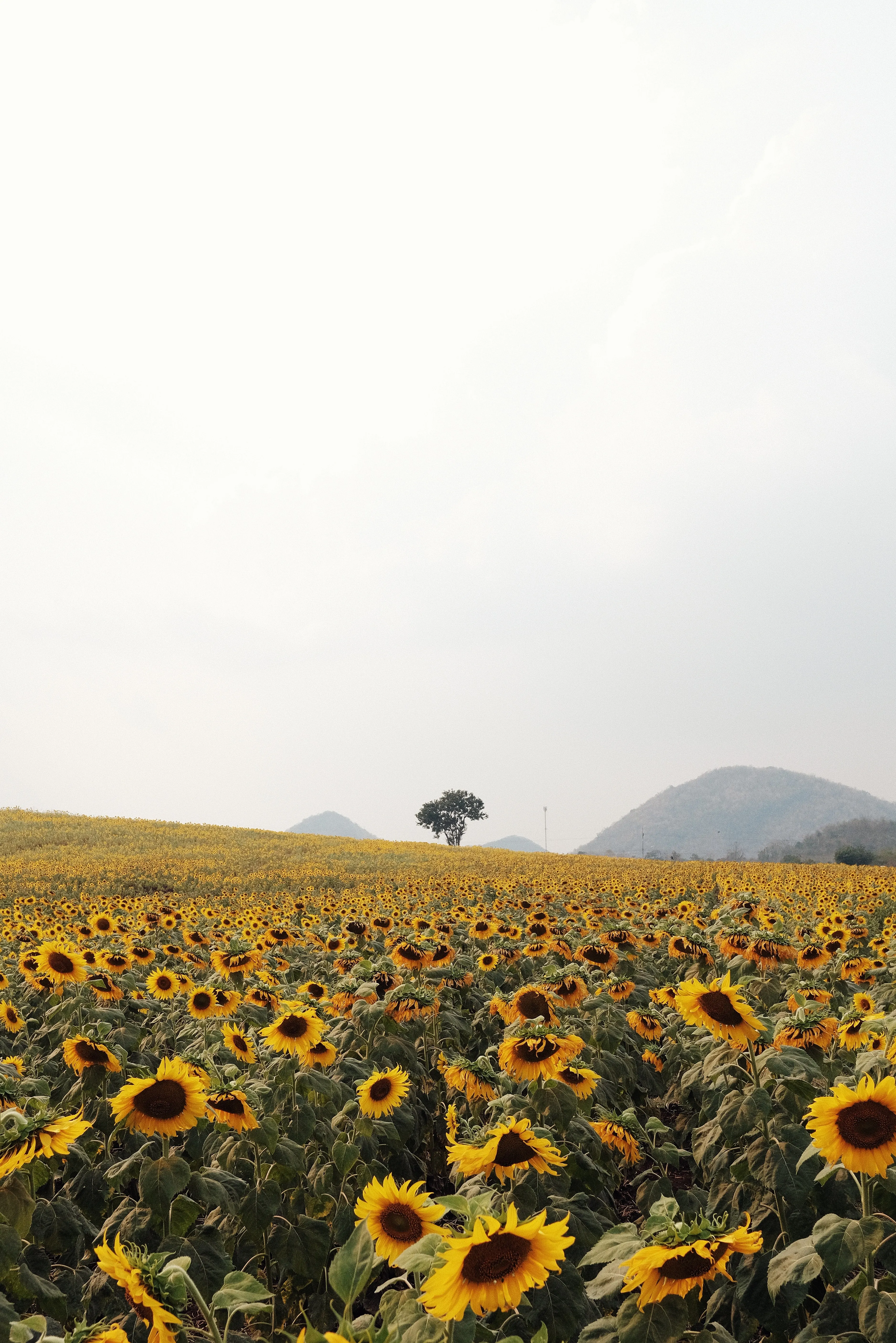 beautiful muslim friendly destinations