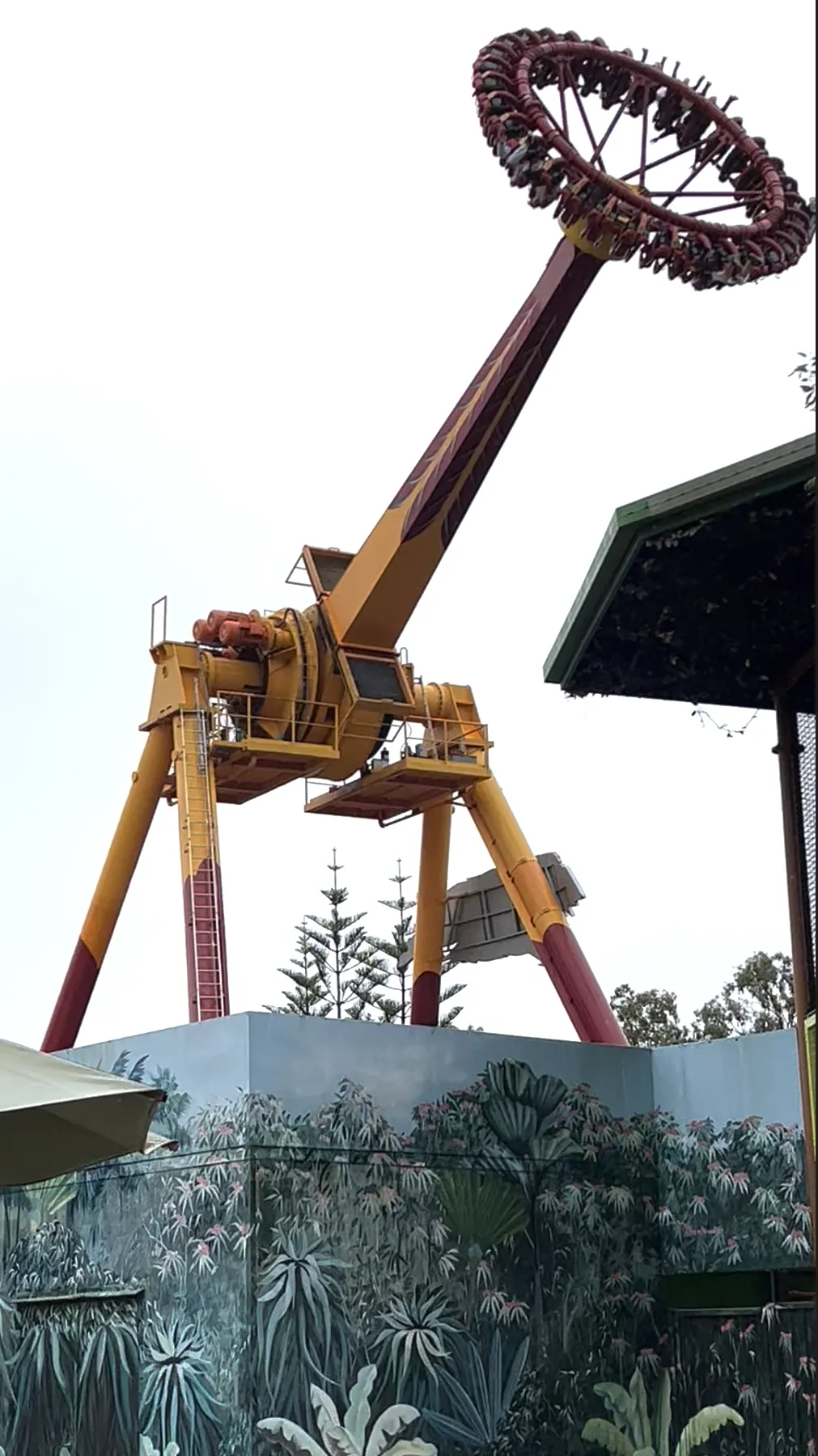 9 Best Things To Do With Your Kids In Gold Coast (With Halal Food Nearby!)