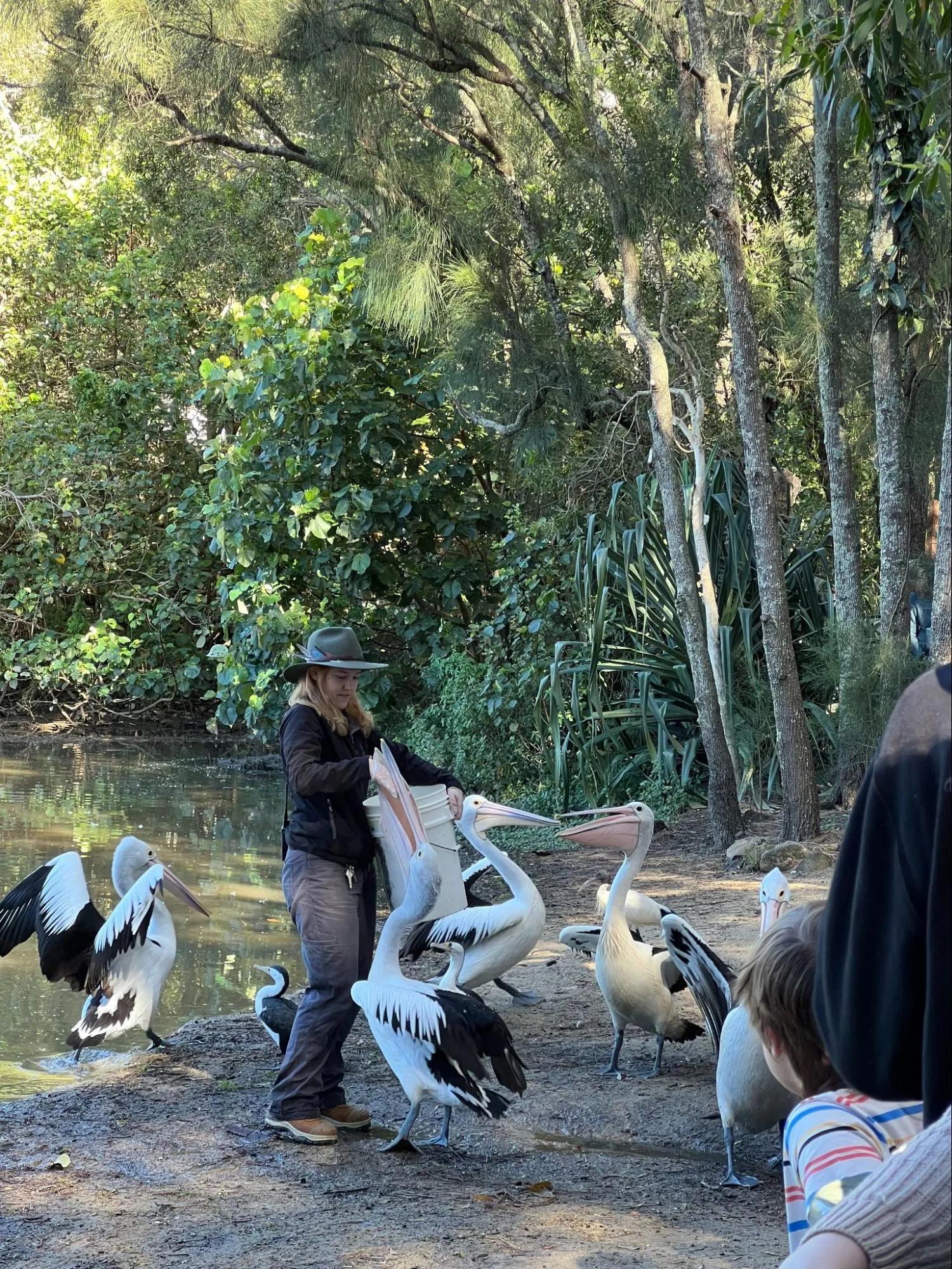 9 Best Things To Do With Your Kids In Gold Coast (With Halal Food Nearby!)
