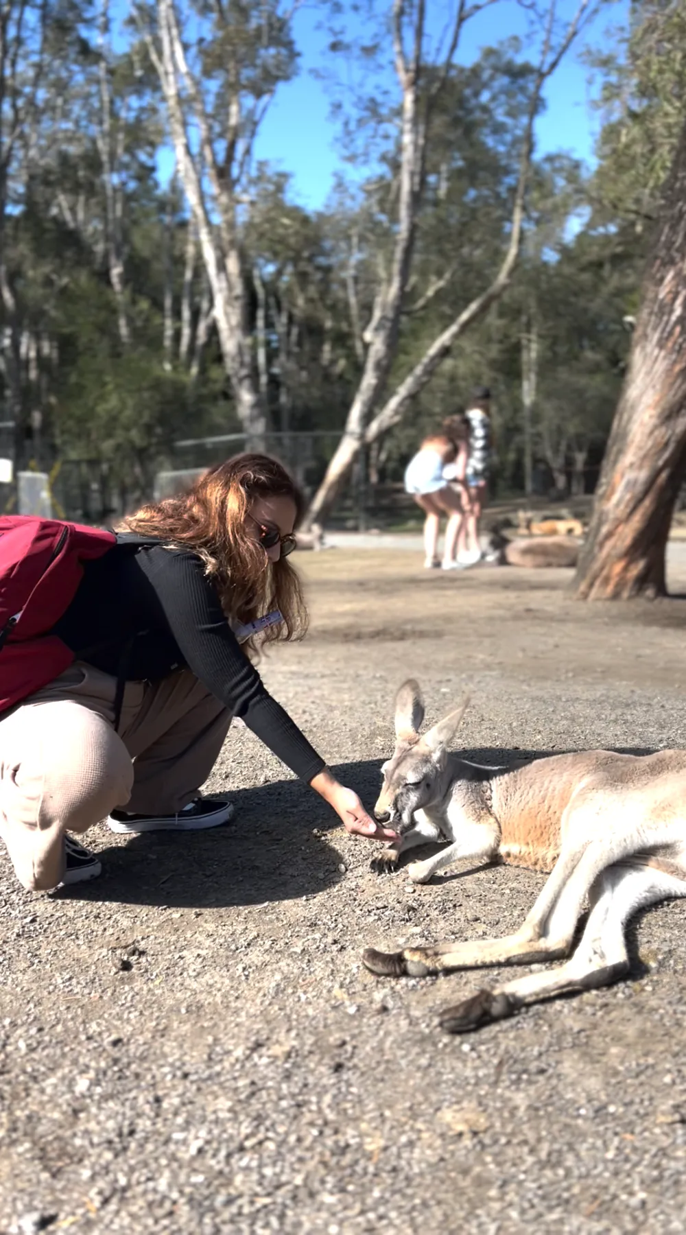 9 Best Things To Do With Your Kids In Gold Coast (With Halal Food Nearby!)
