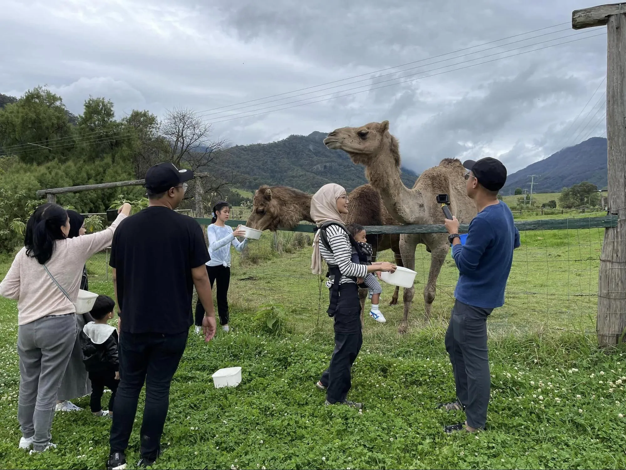 9 Best Things To Do With Your Kids In Gold Coast (With Halal Food Nearby!)