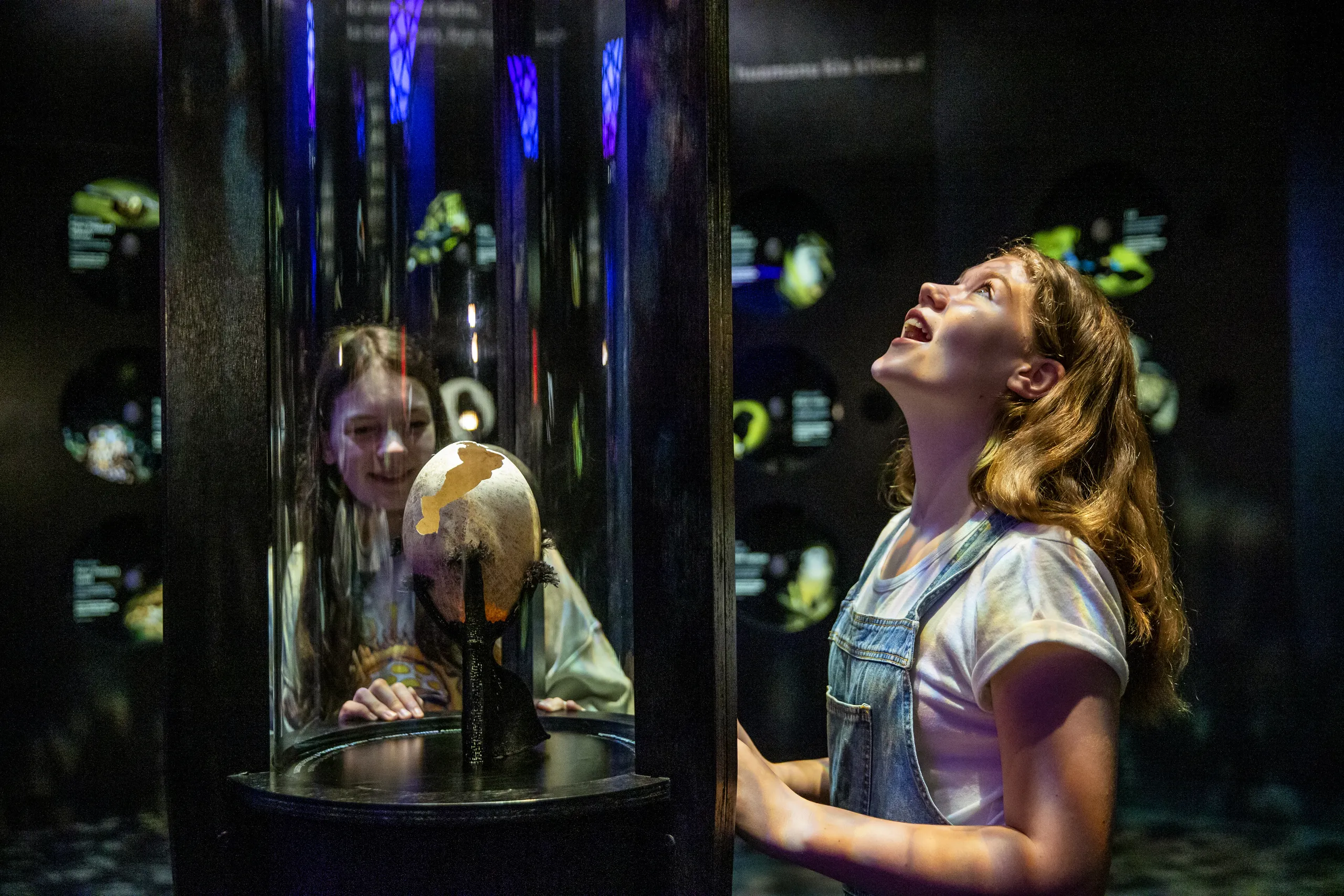Te Papa Museum