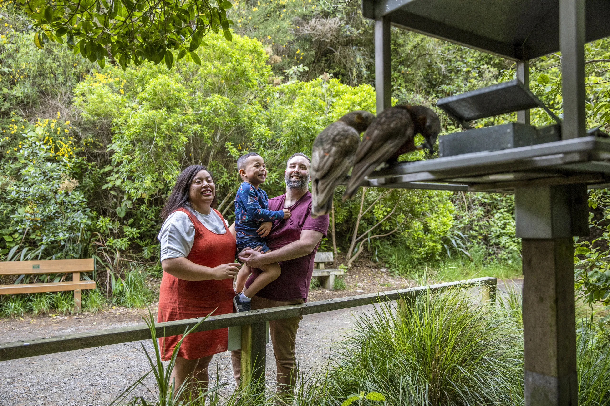 Zealandia Te Māra a Tāne