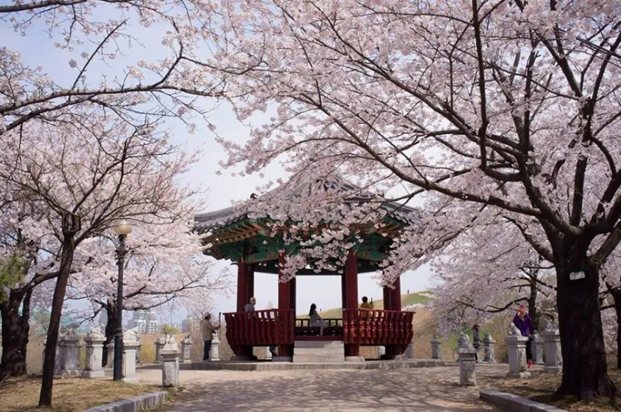 Yeouido Park, Seoul