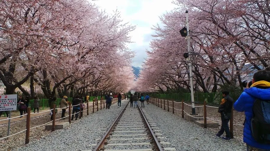 Gyeonghwa Station, Jinhae