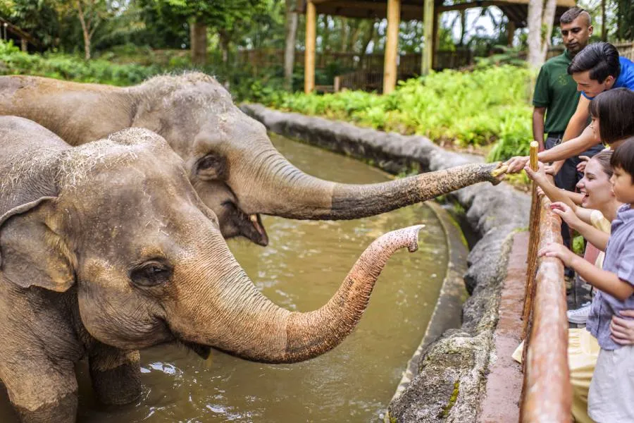 Mandai Wildlife Reserve