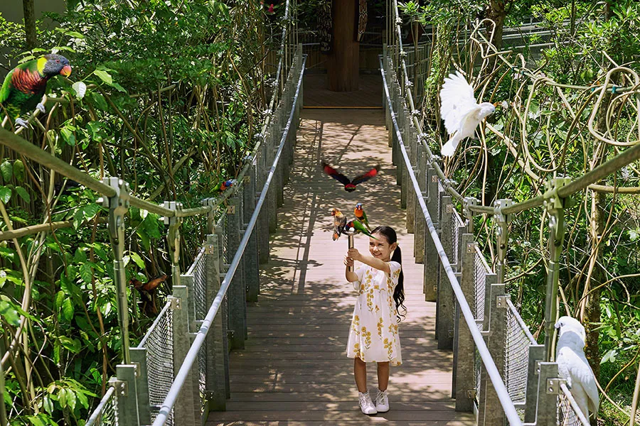 Mandai Wildlife Reserve