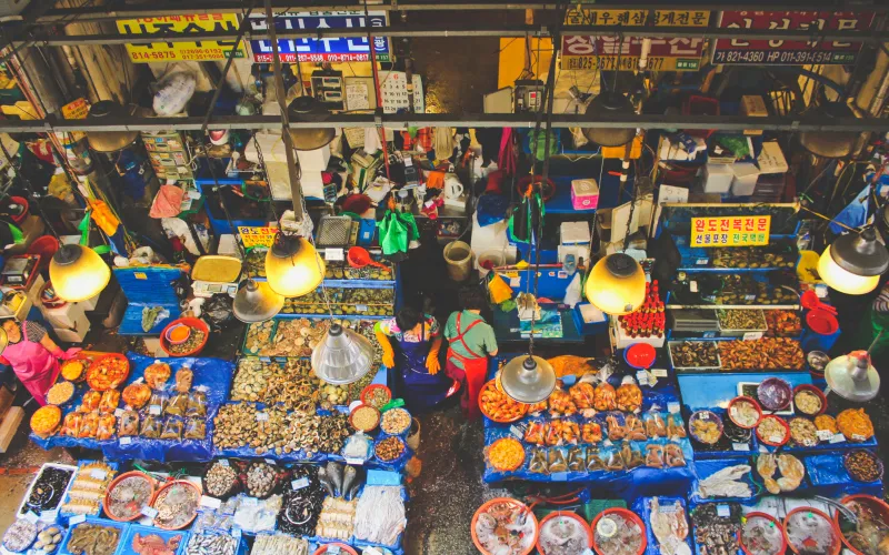 Attractions To Visit When You're In Seoul, Korea
