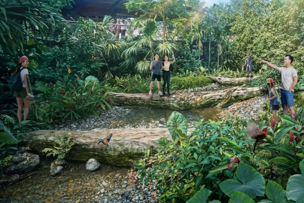 Rainforest Wild Asia